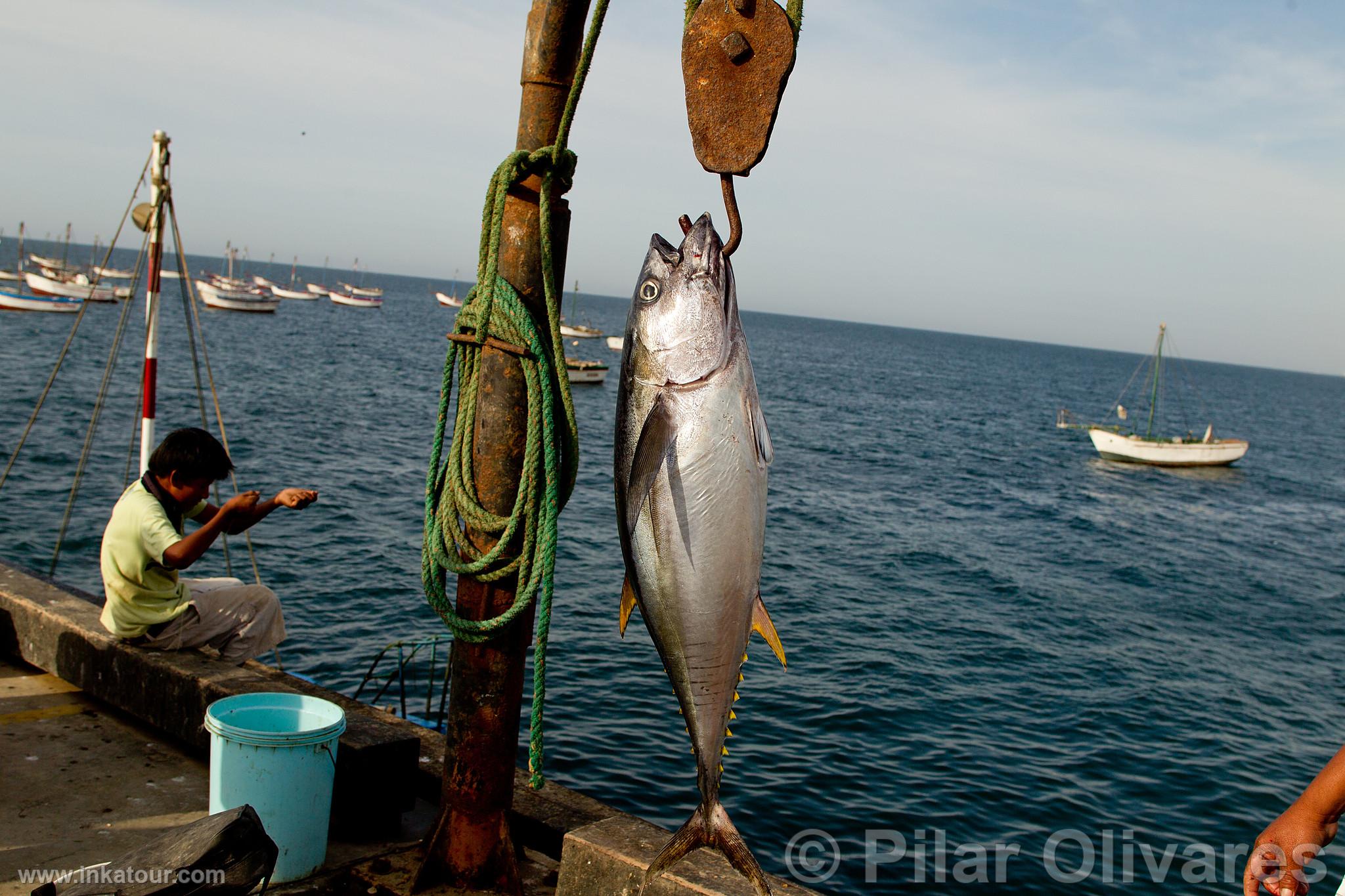 Photo of Peru