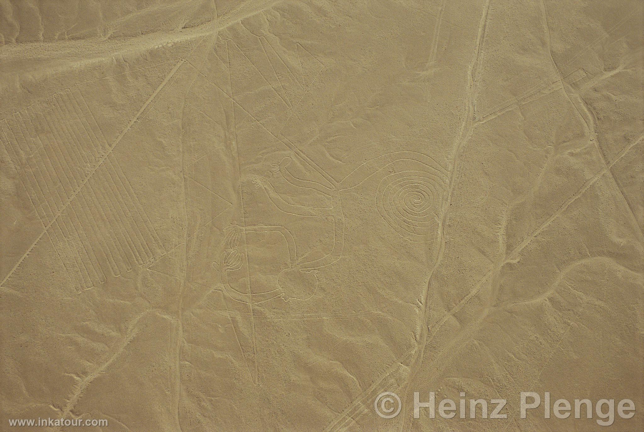 Nazca lines