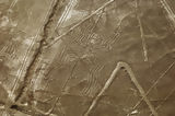 Nazca lines