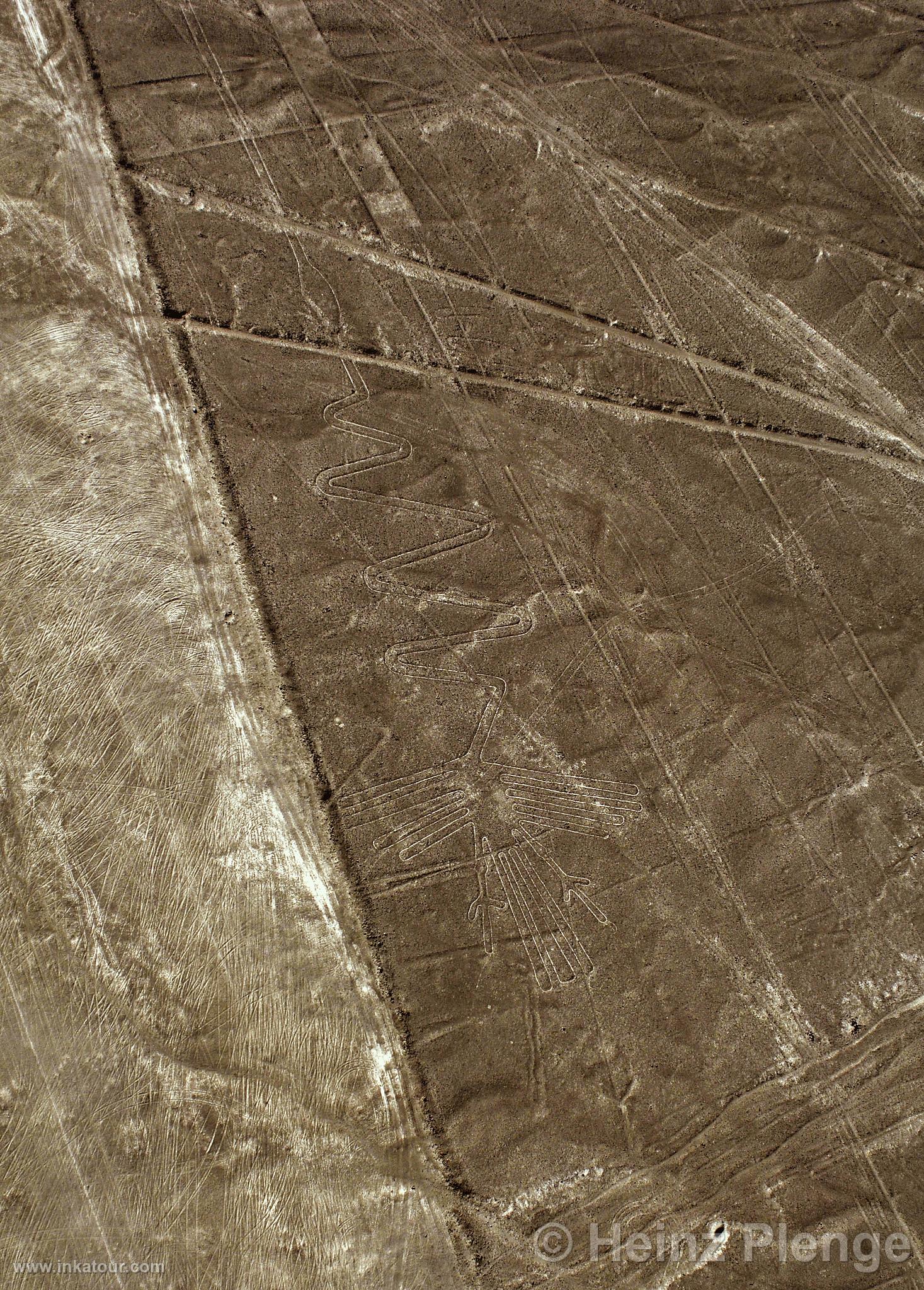 Nazca lines