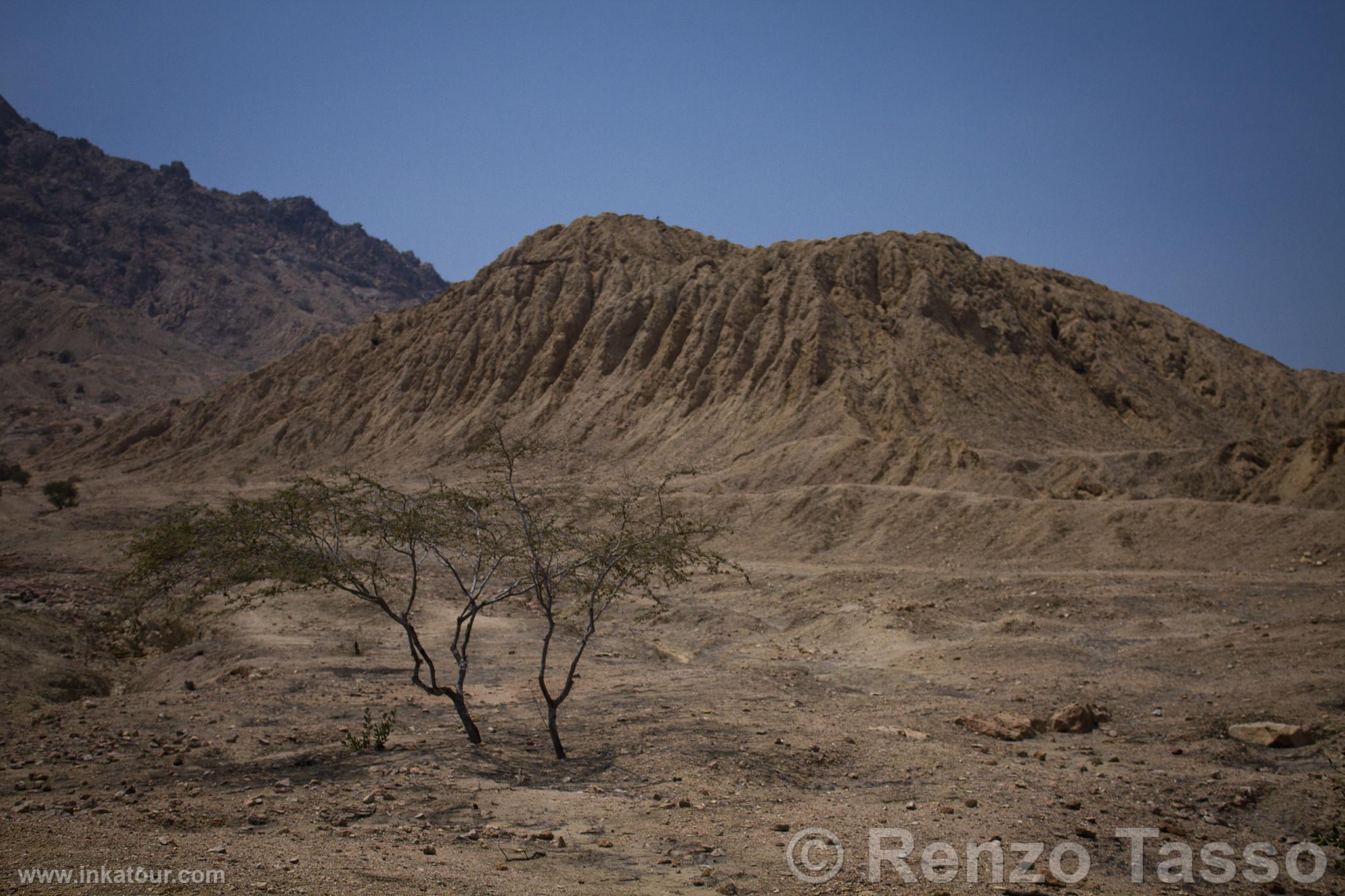 Photo of Peru