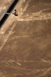 Nazca lines