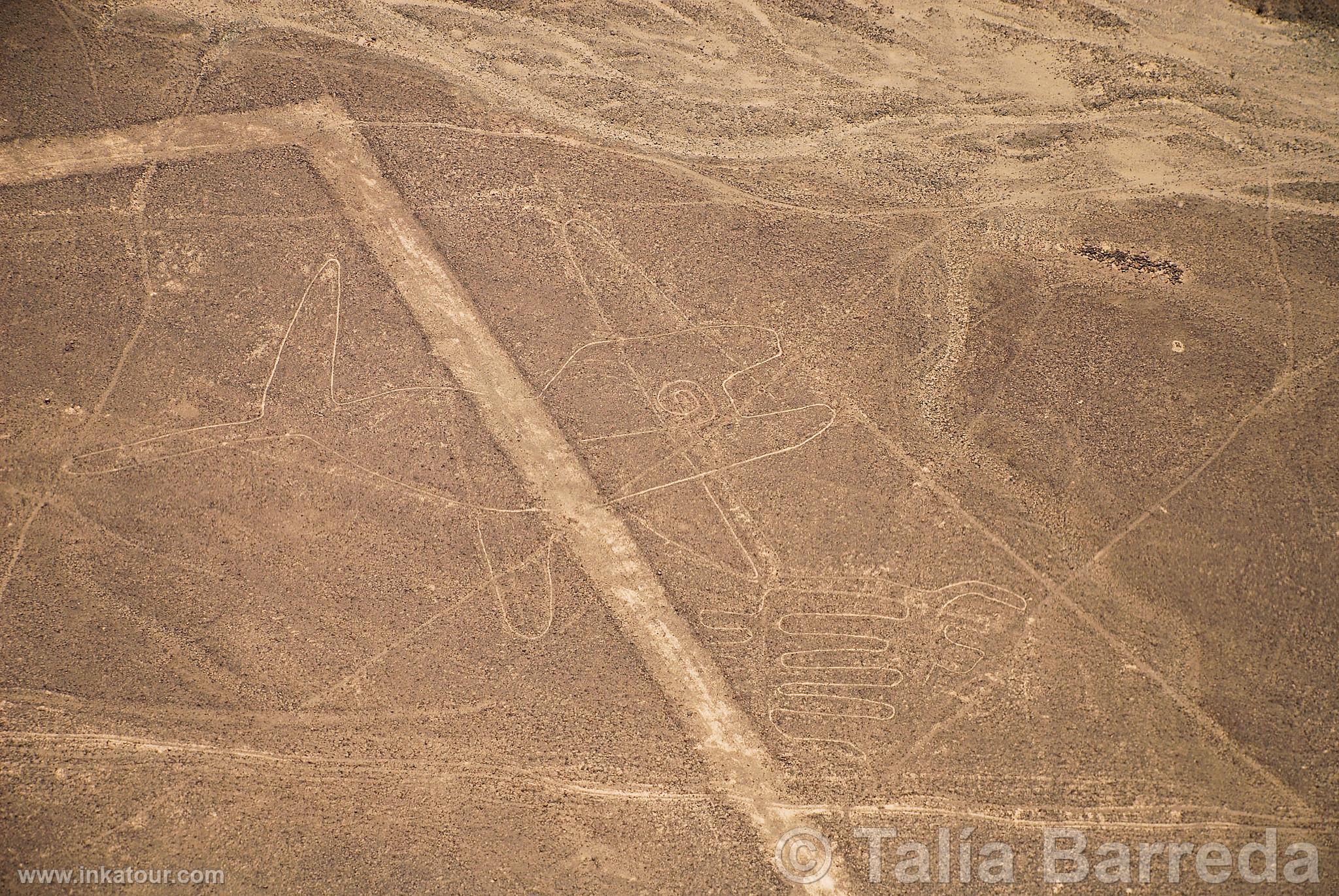 Nazca lines