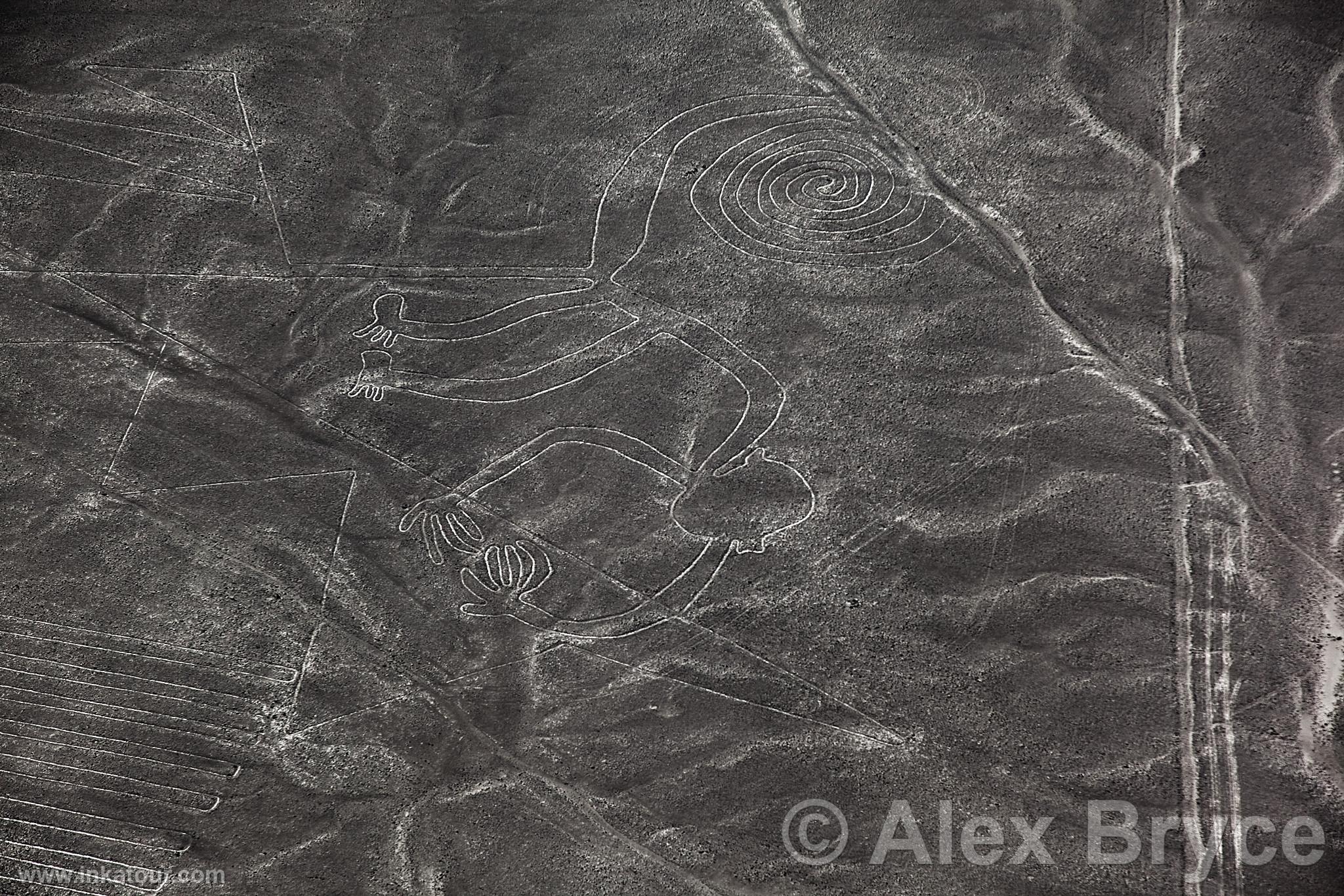 Nazca lines