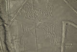 Nazca lines