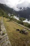 Choquequirao