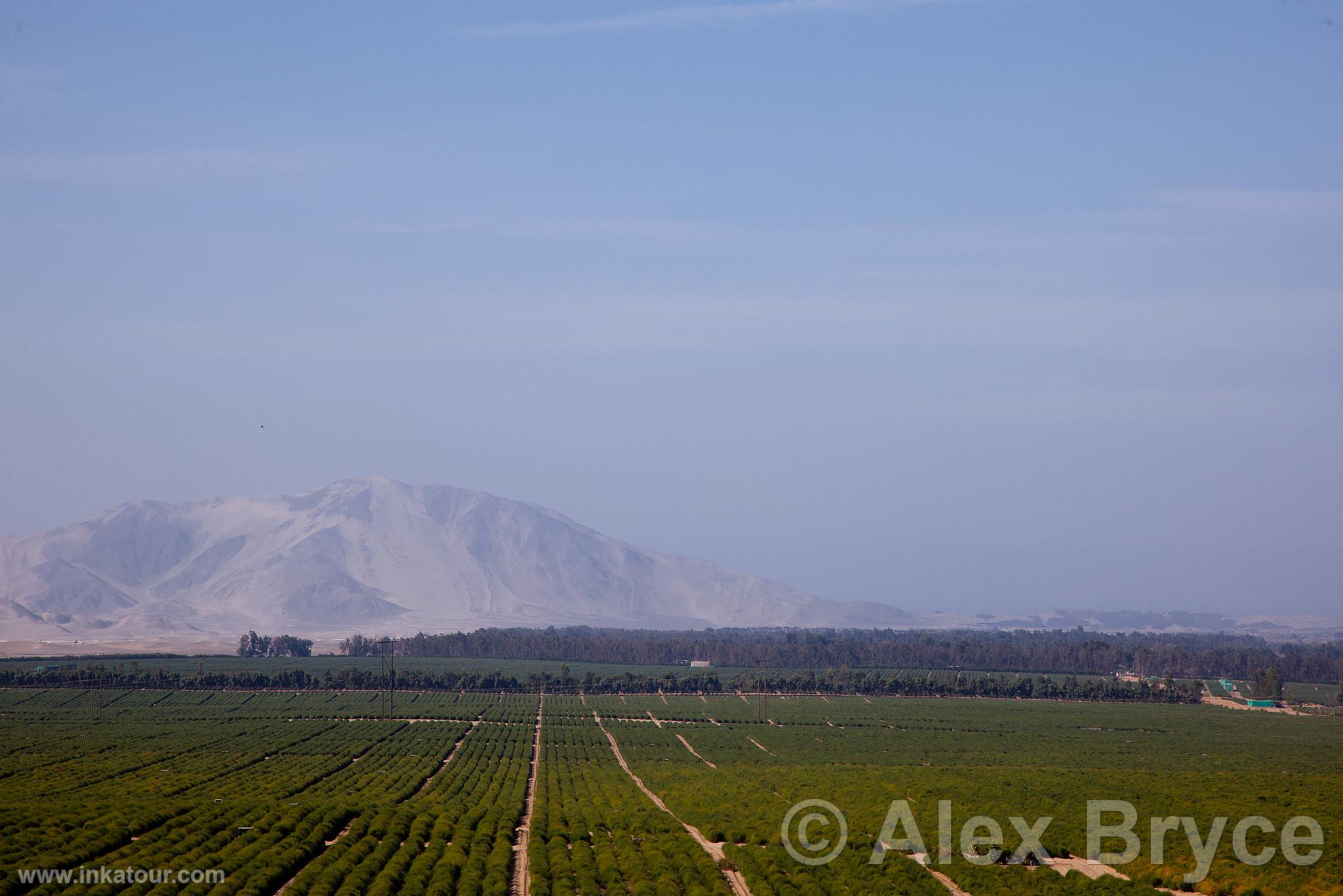 Photo of Peru