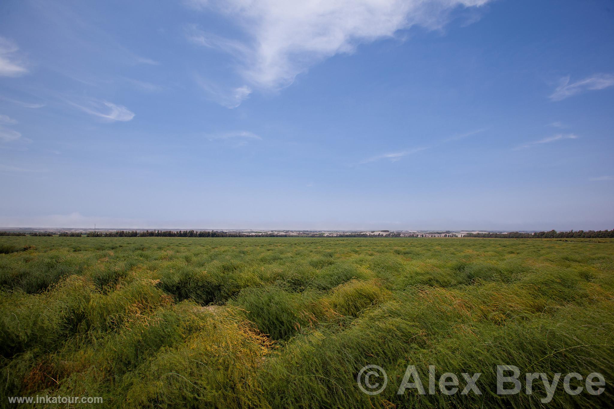 Photo of Peru