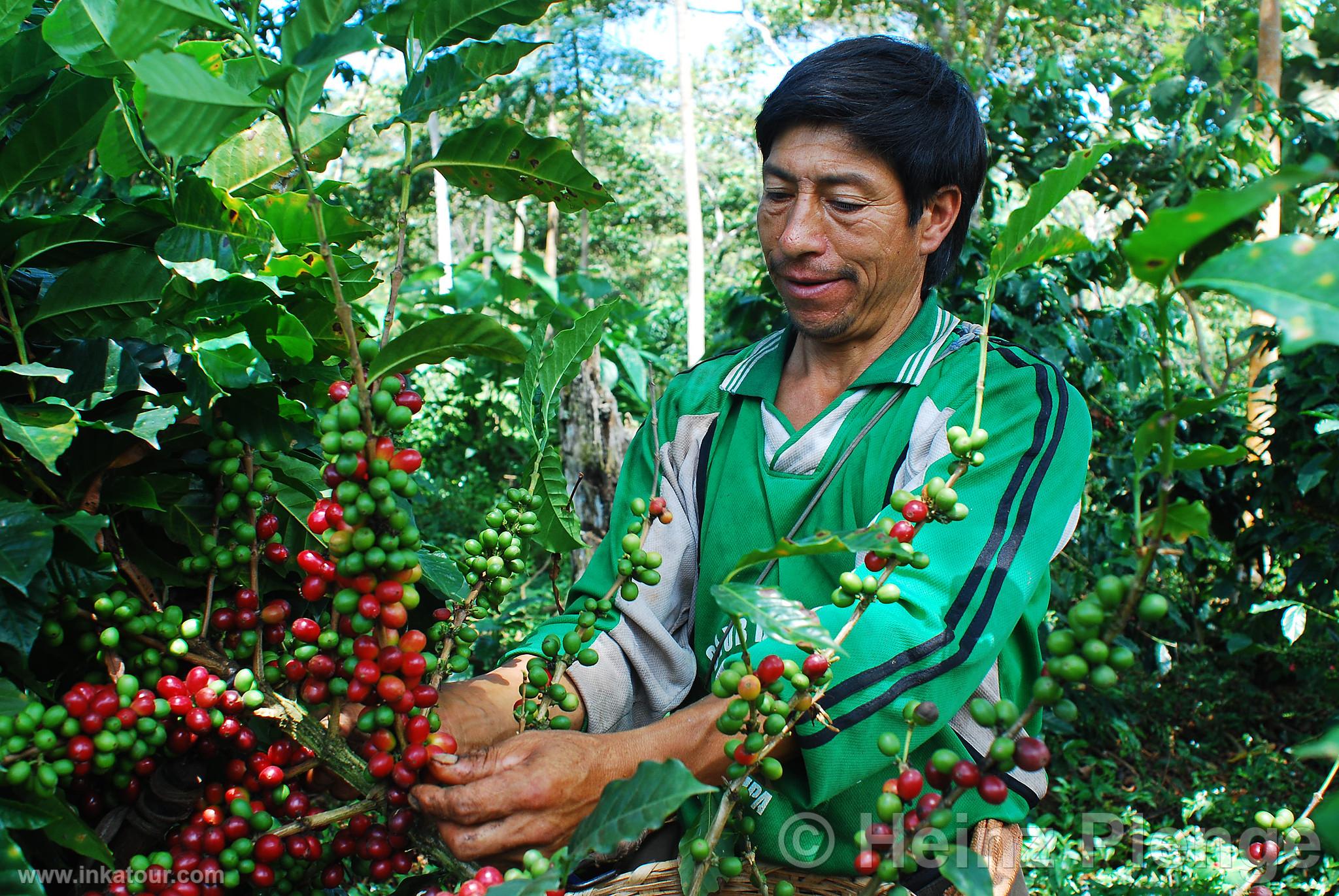 Photo of Peru