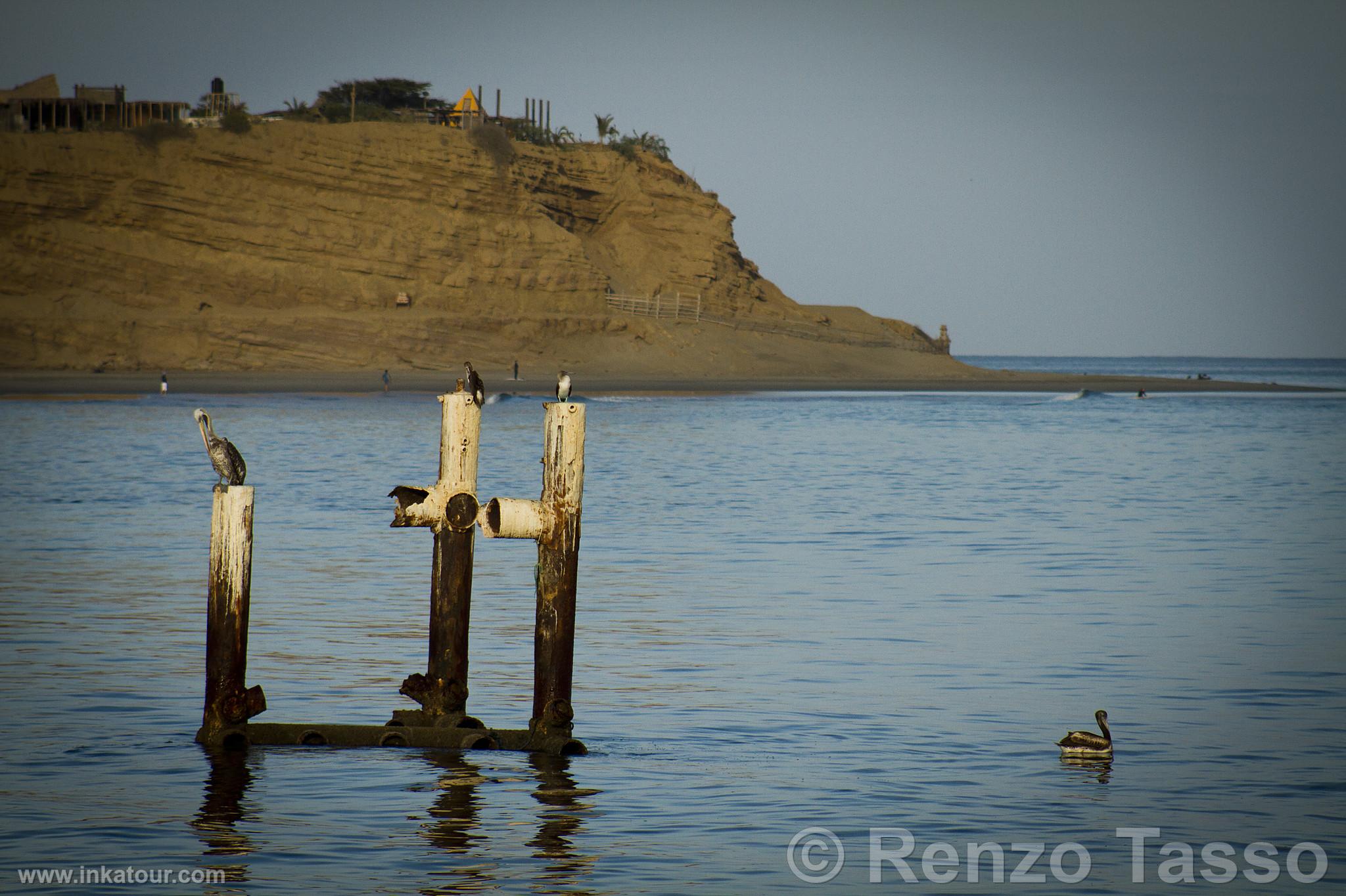 Photo of Peru