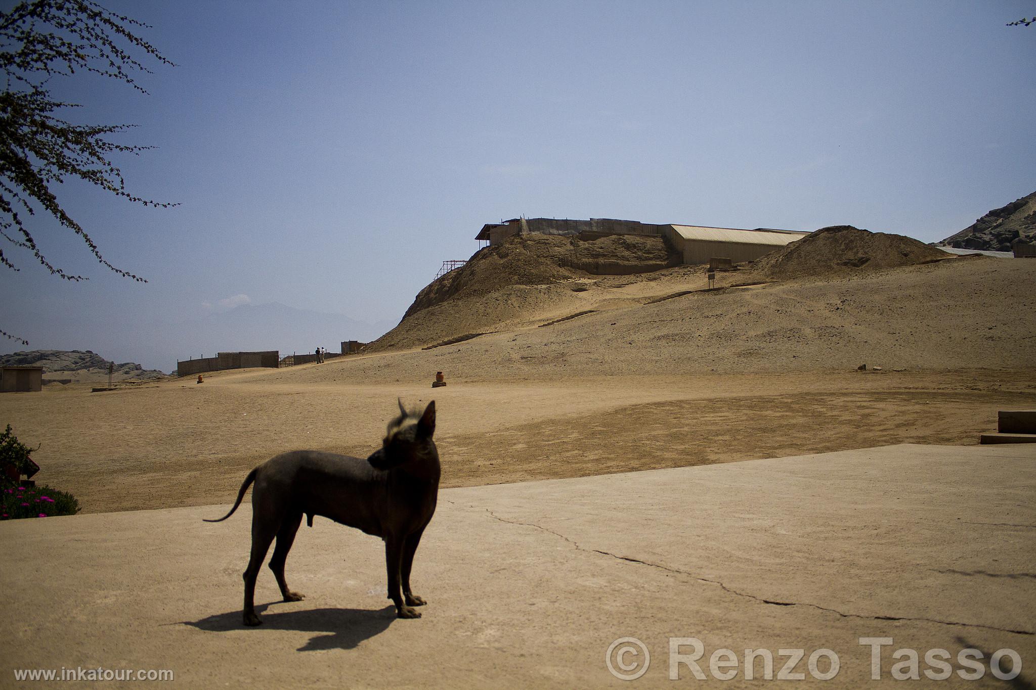 Photo of Peru