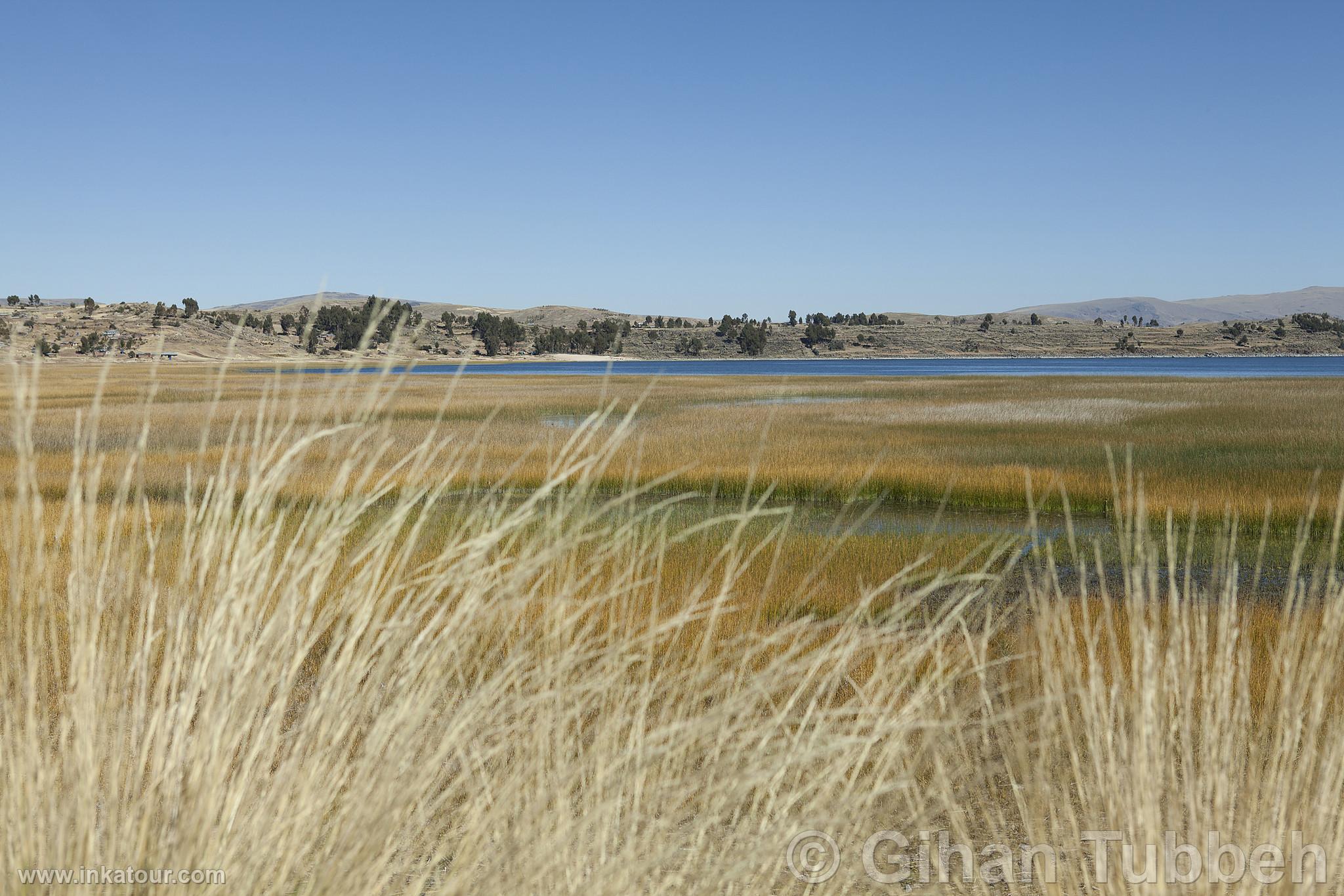 Titicaca Lake