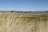 Titicaca Lake