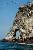 Ballestas, Paracas