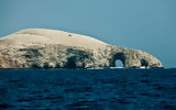 Ballestas, Paracas