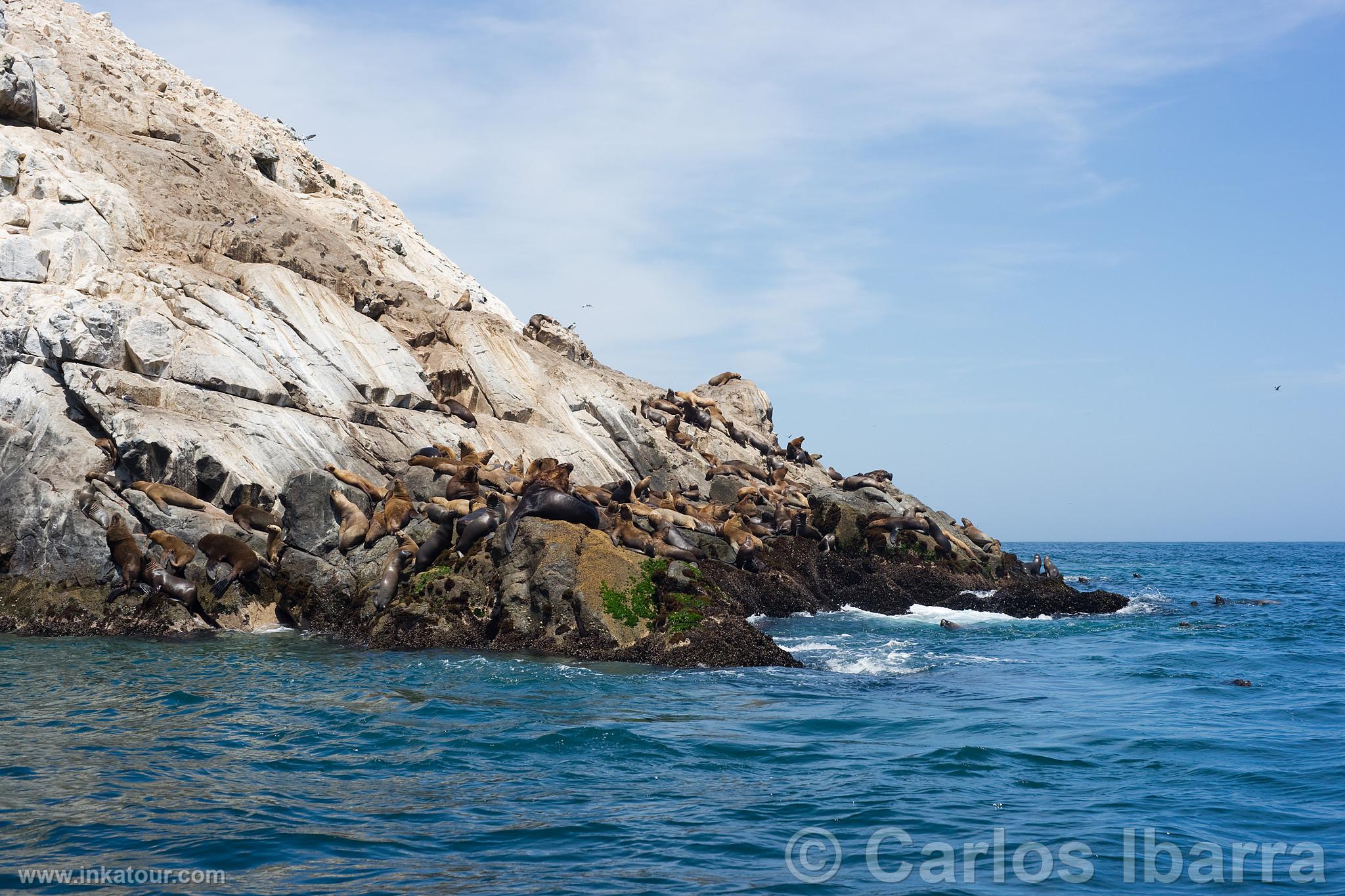 Photo of Peru