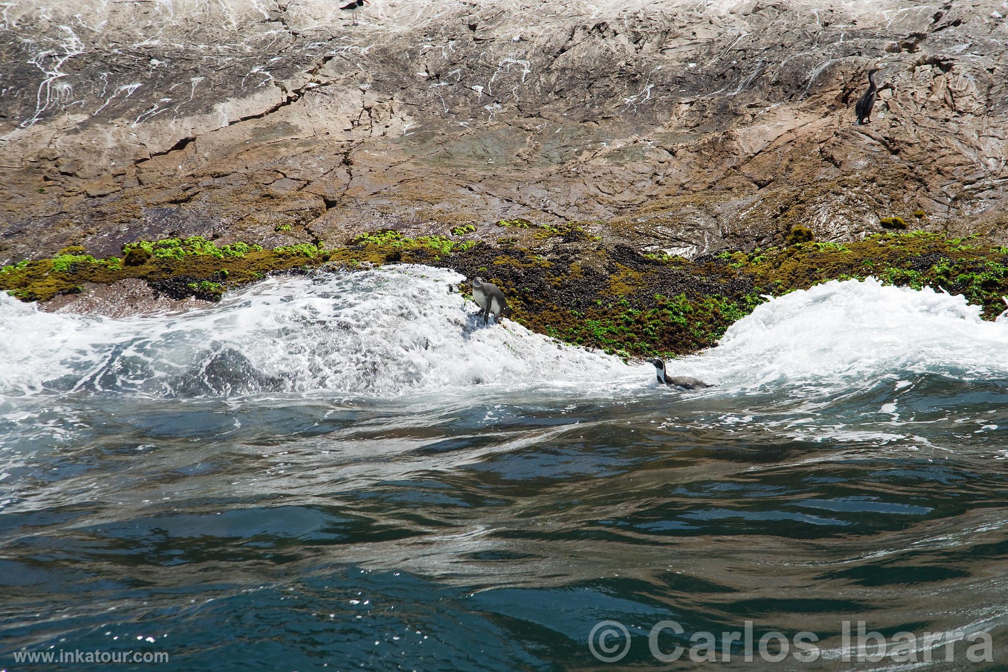 Photo of Peru