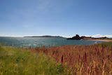 Titicaca Lake