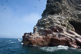 Ballestas, Paracas