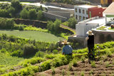 Arequipa