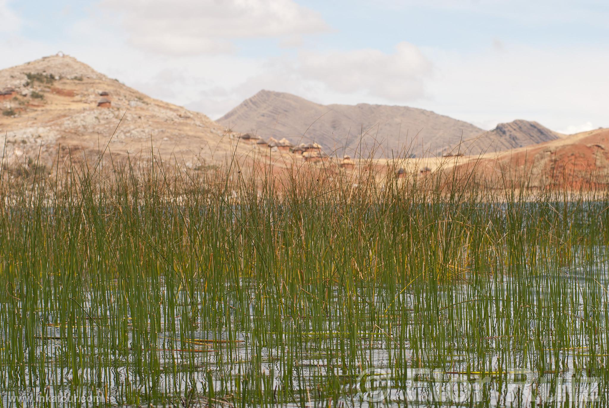 Photo of Peru