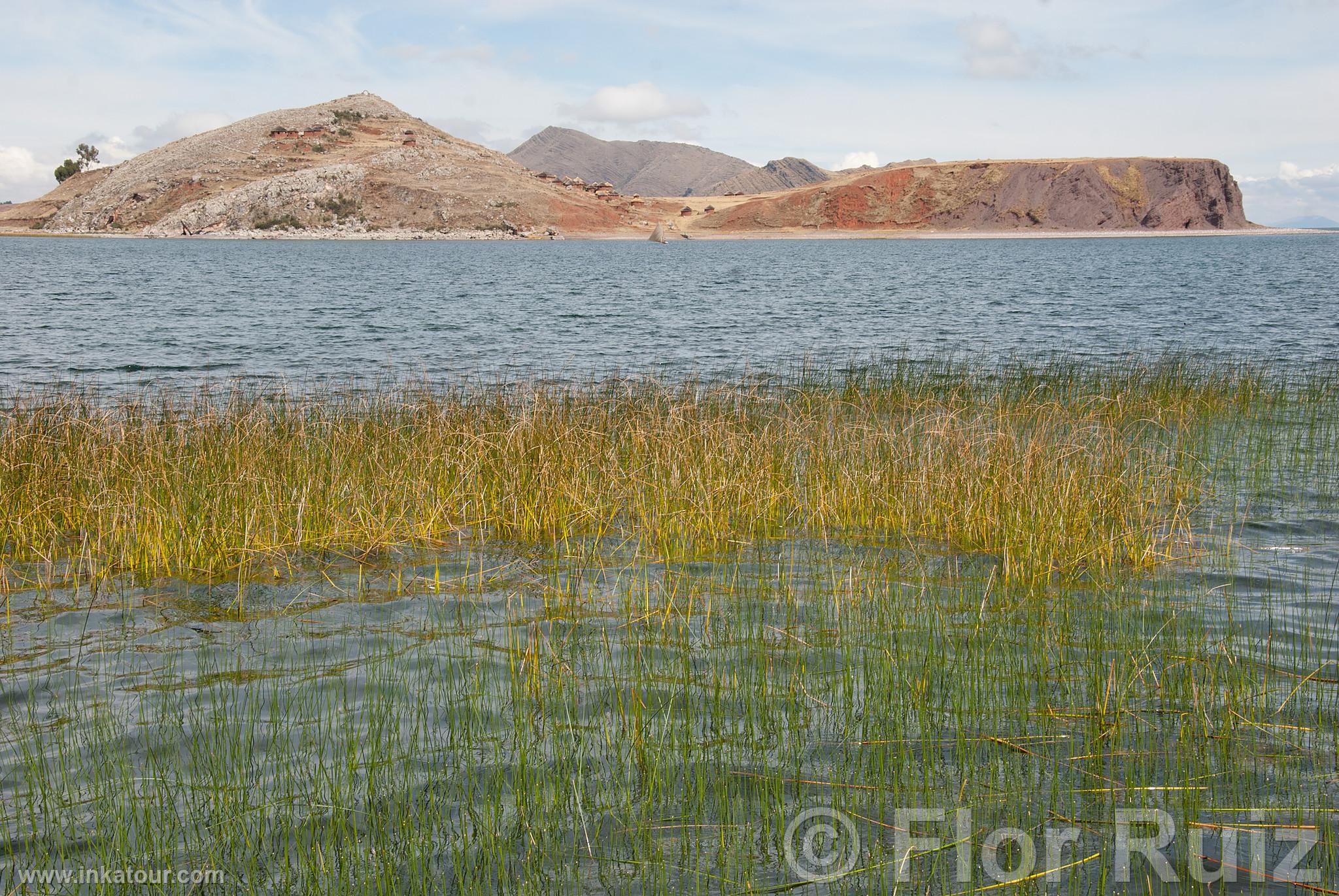 Photo of Peru