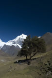 Huayhuash