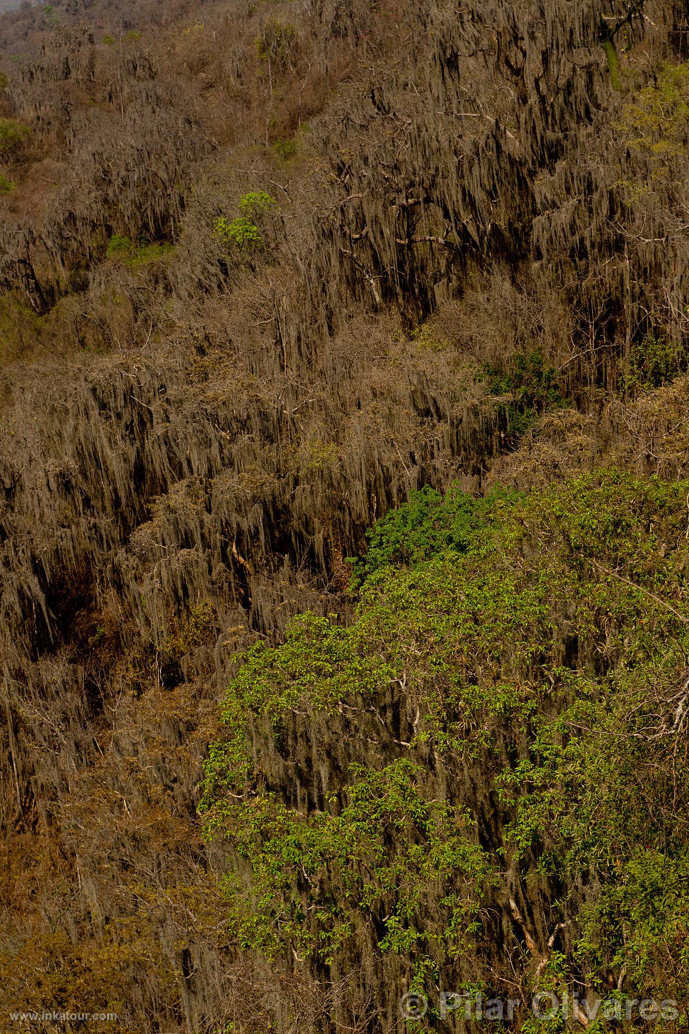 Photo of Peru