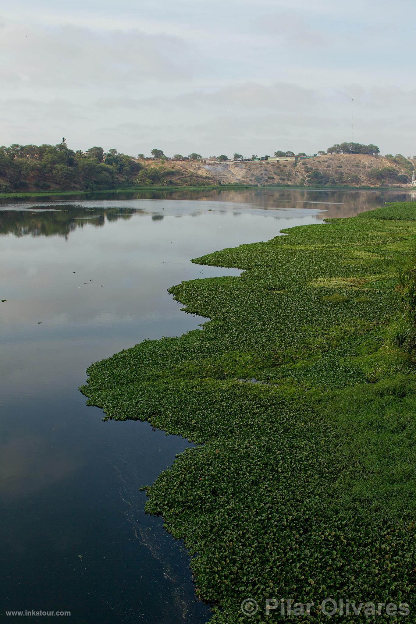 Photo of Peru