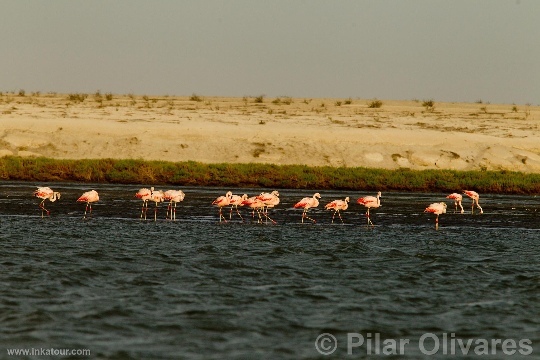 Photo of Peru