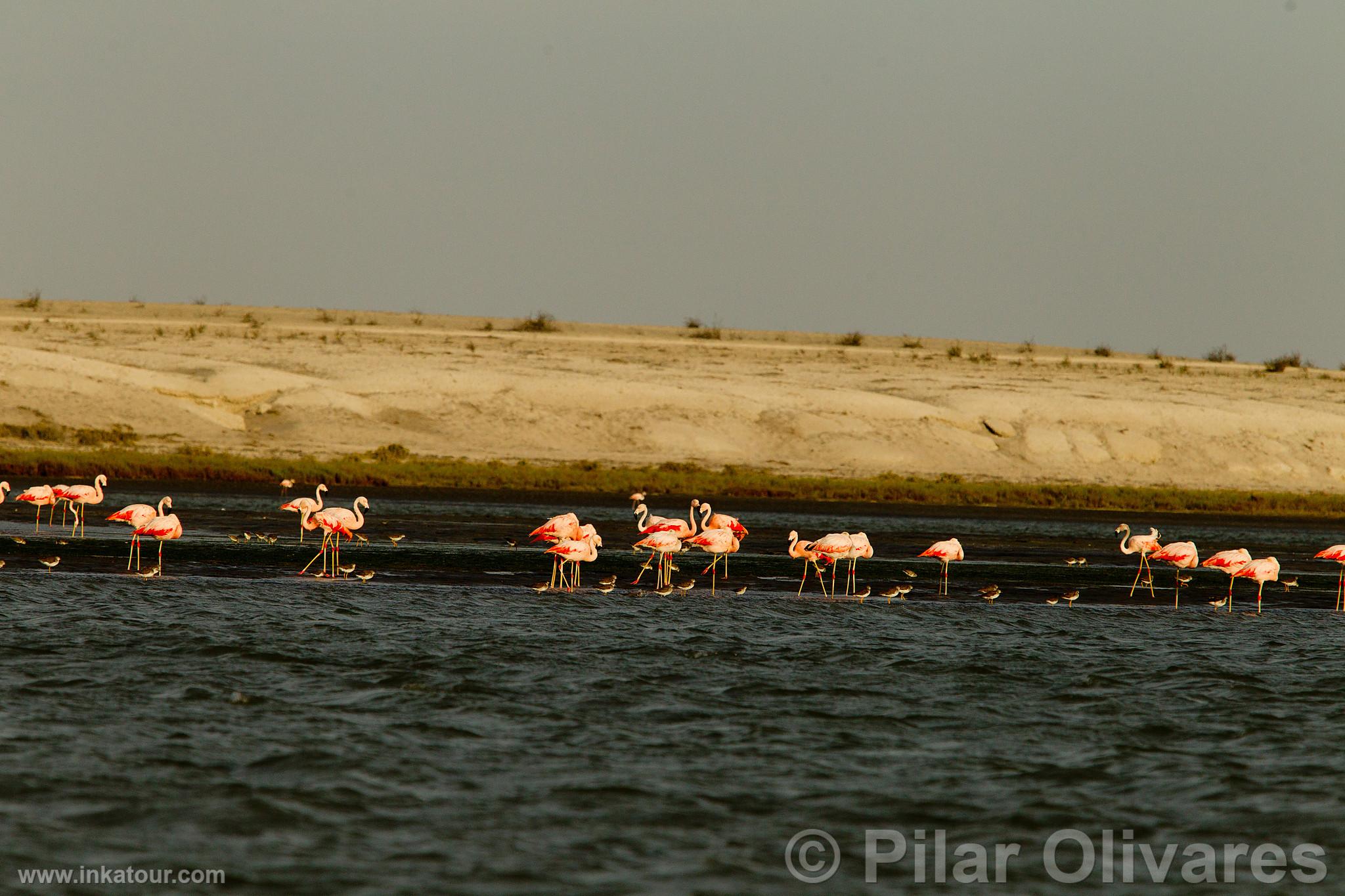 Photo of Peru