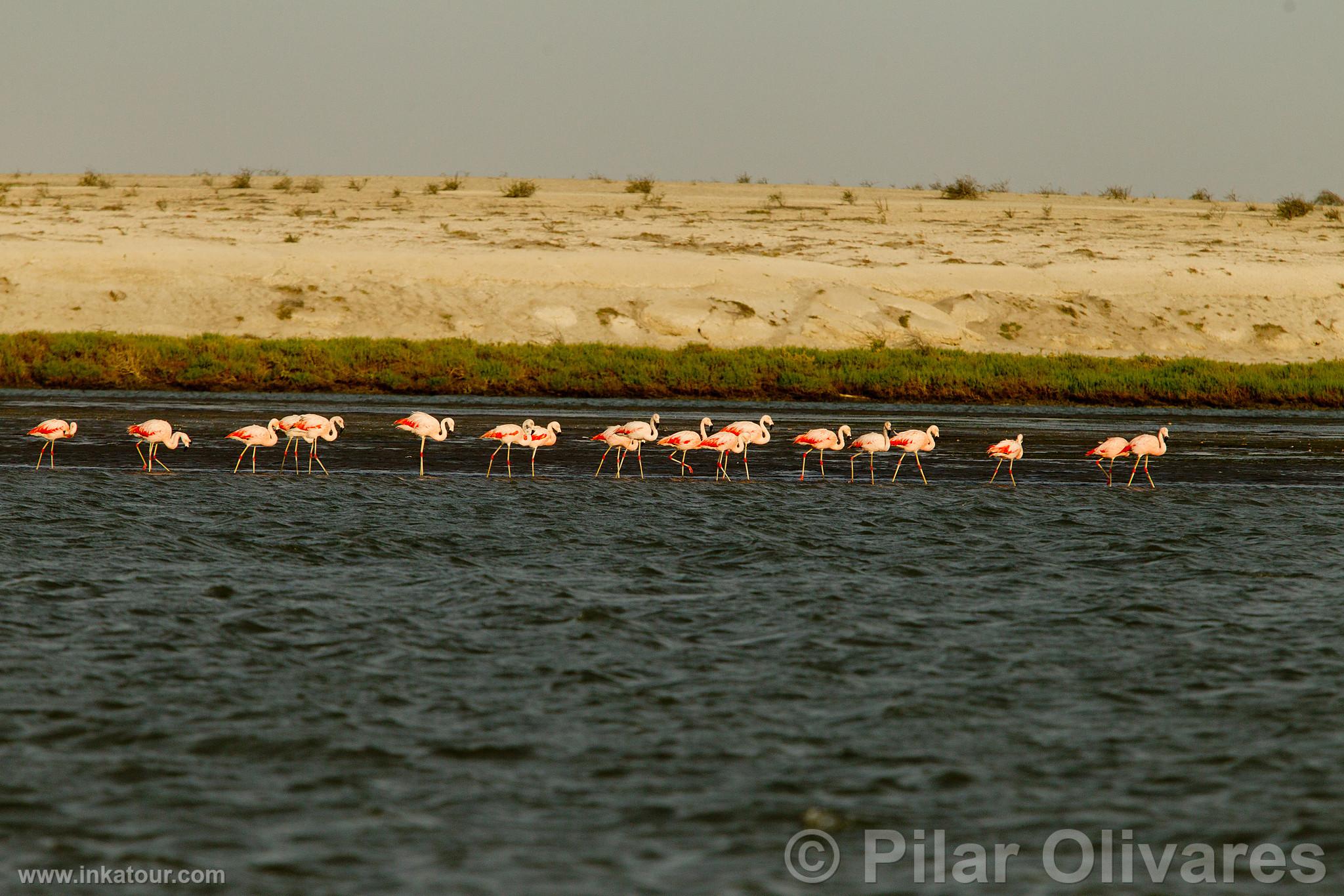 Photo of Peru