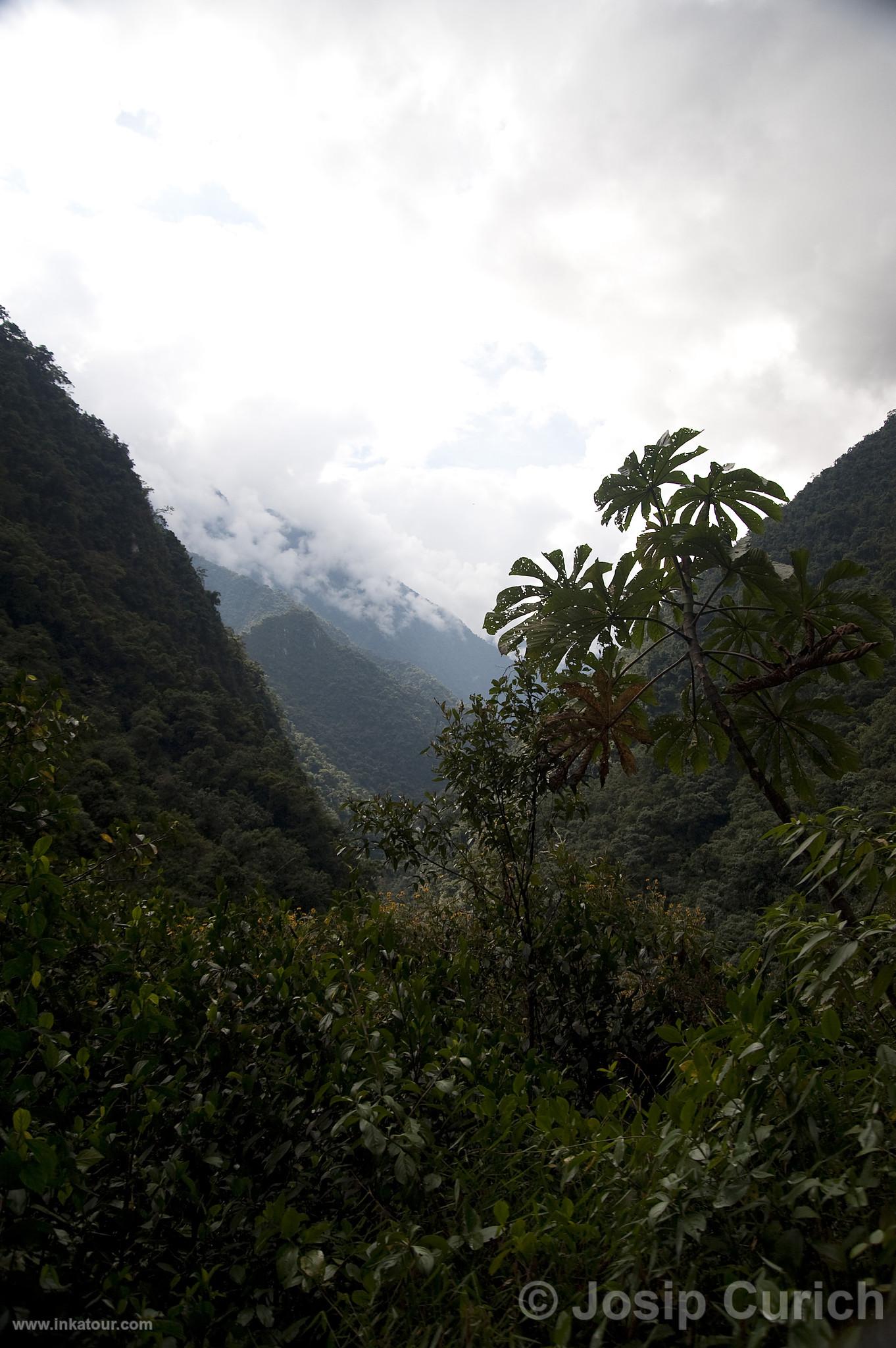 Photo of Peru