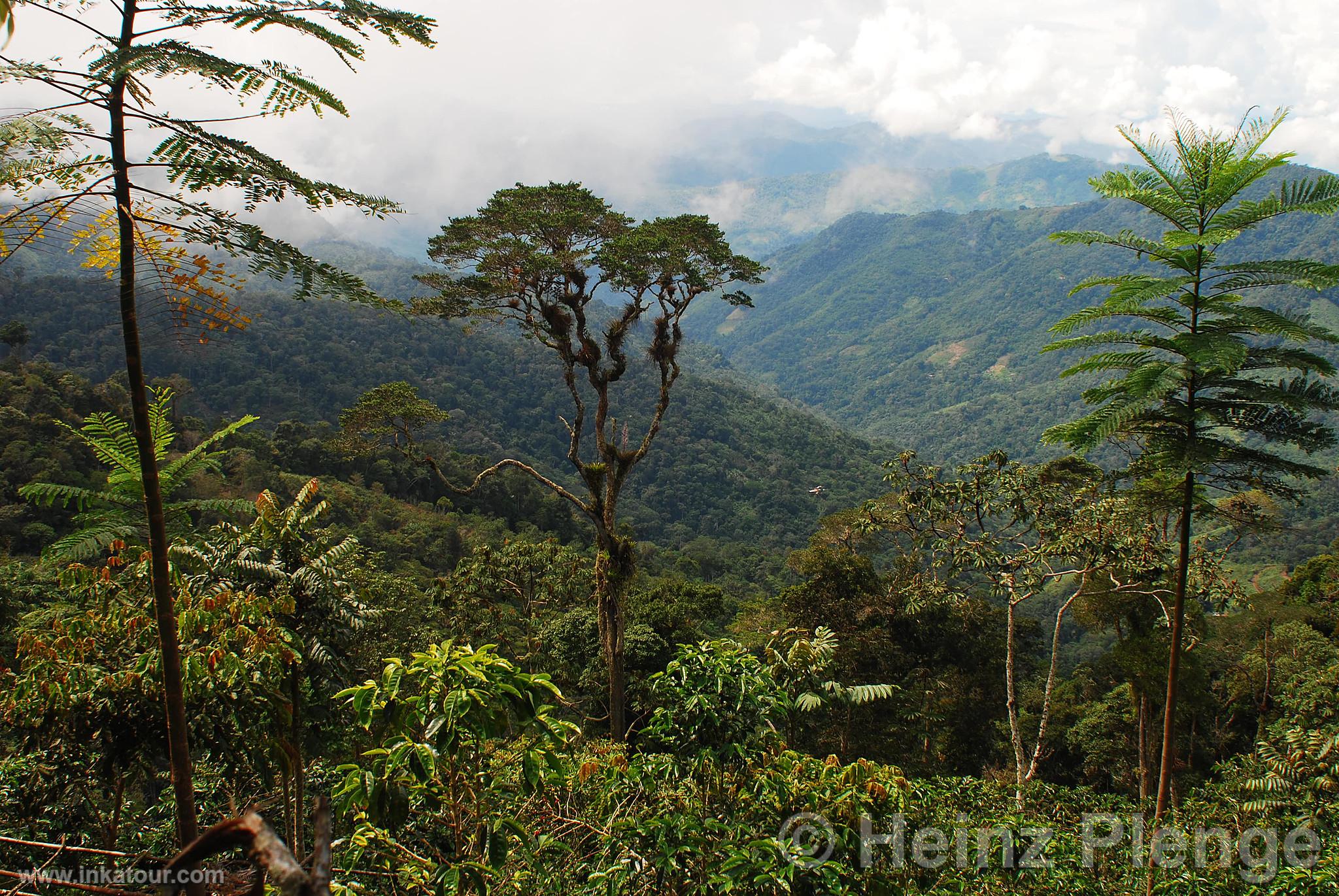 Photo of Peru