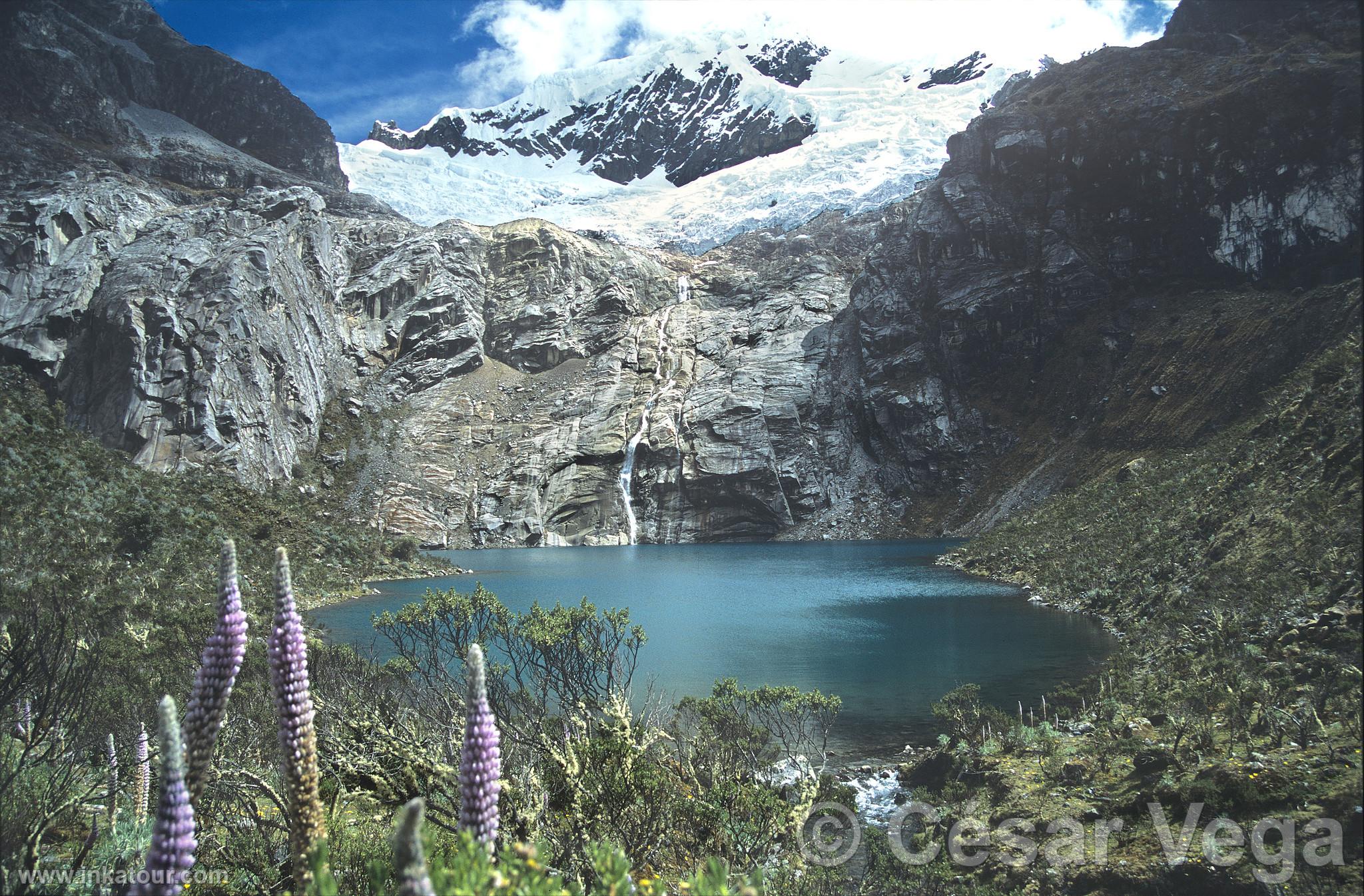 Photo of Peru