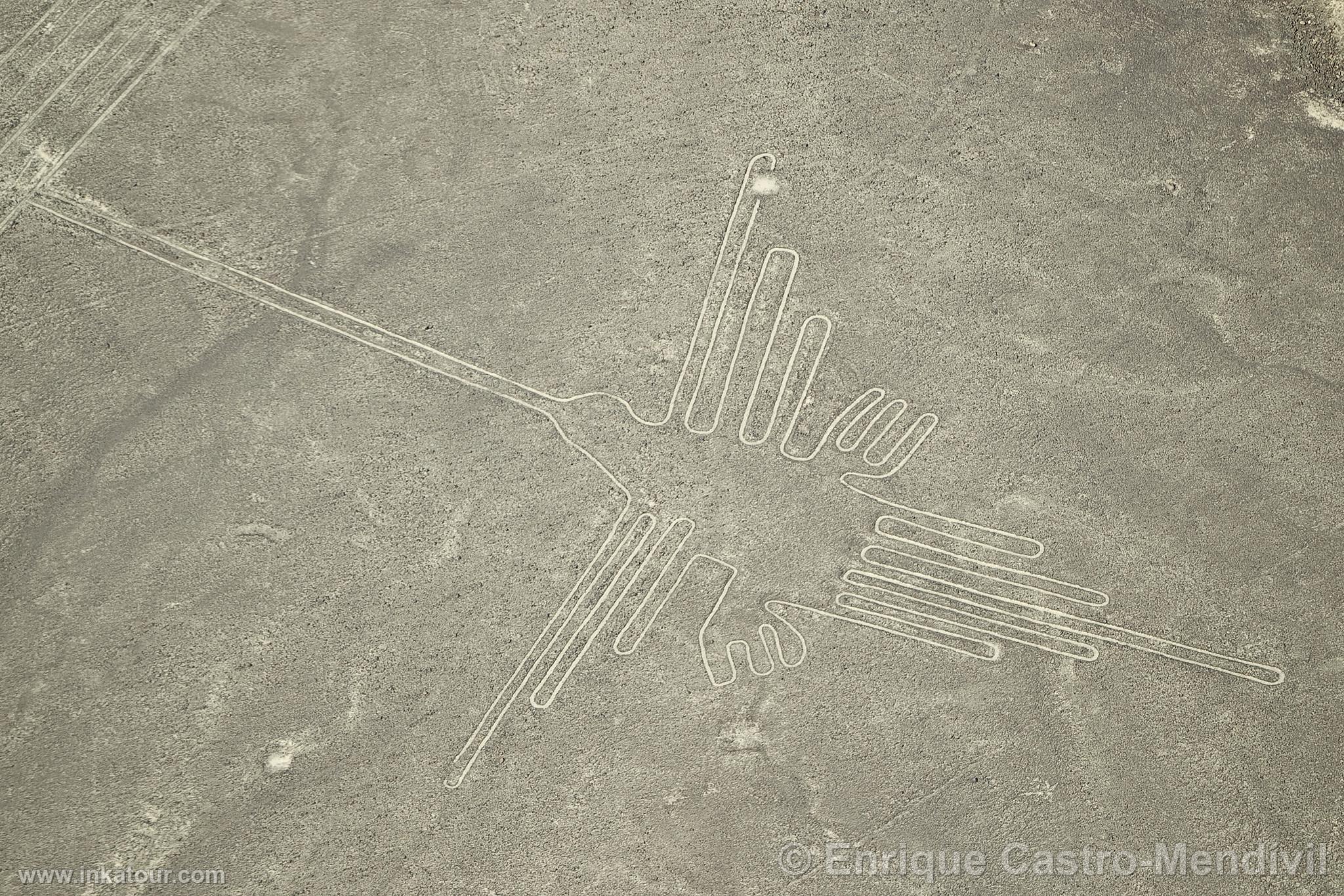 Nazca lines