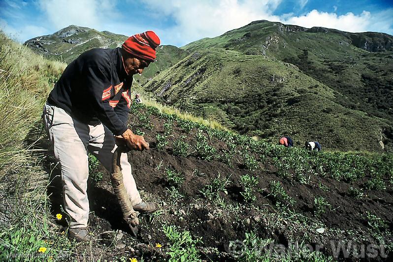 Photo of Peru