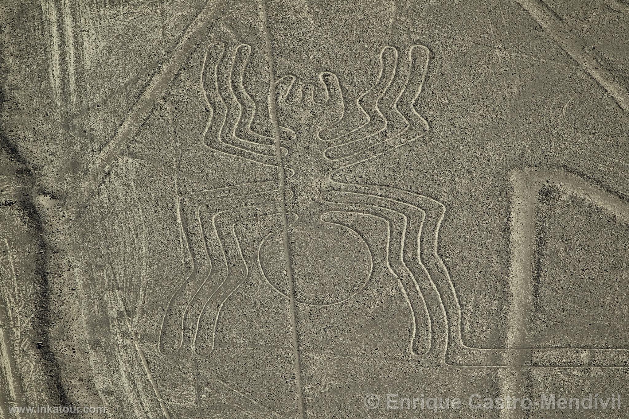 Nazca lines