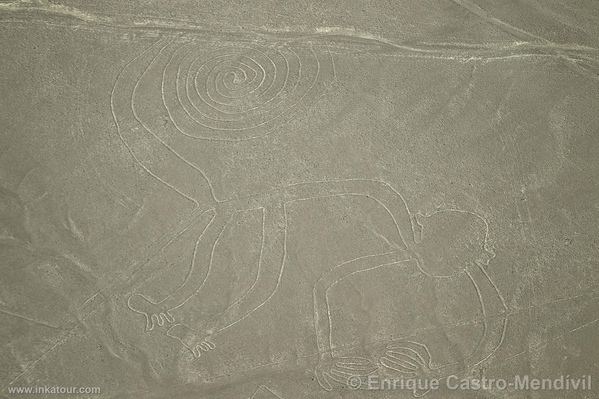 Nazca lines