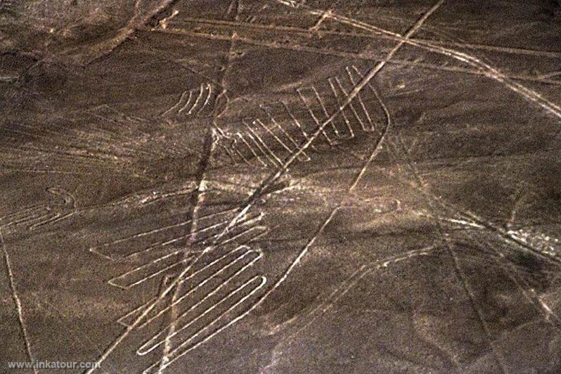 Nazca