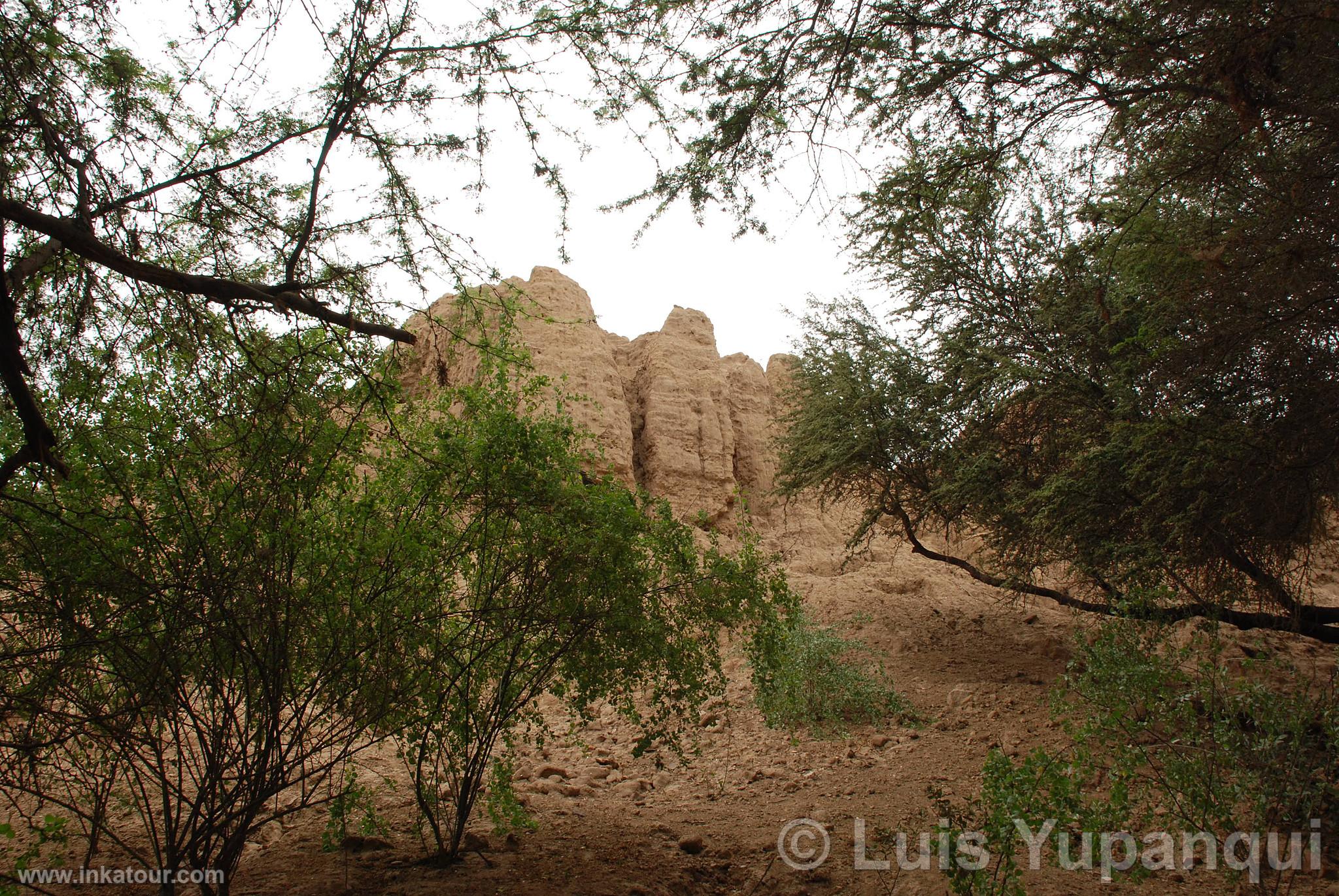 Photo of Peru