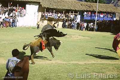 Photo of Peru