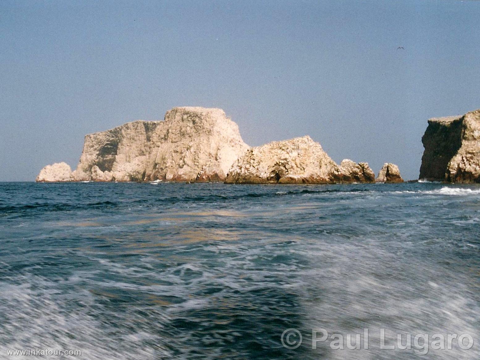 Ballestas, Paracas