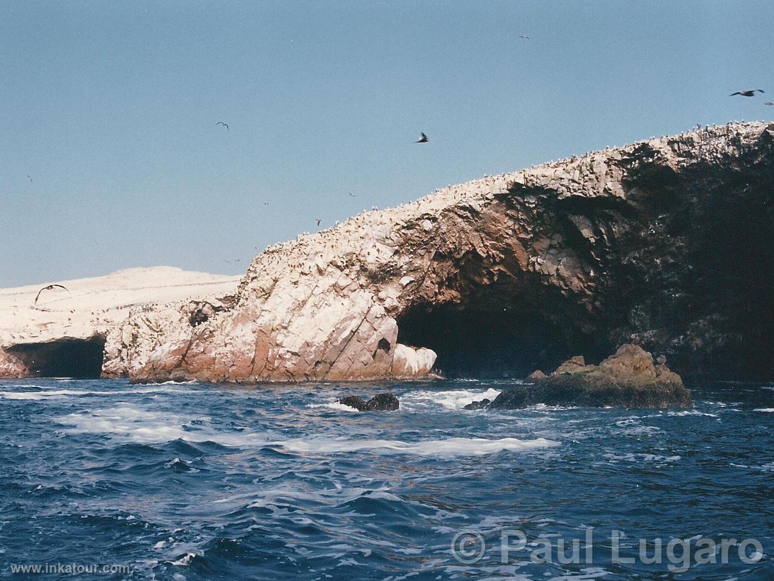 Ballestas, Paracas