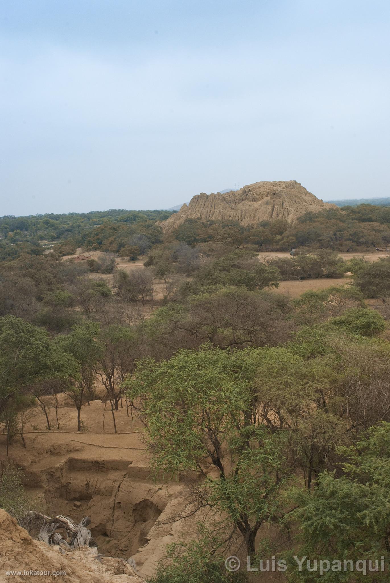 Photo of Peru