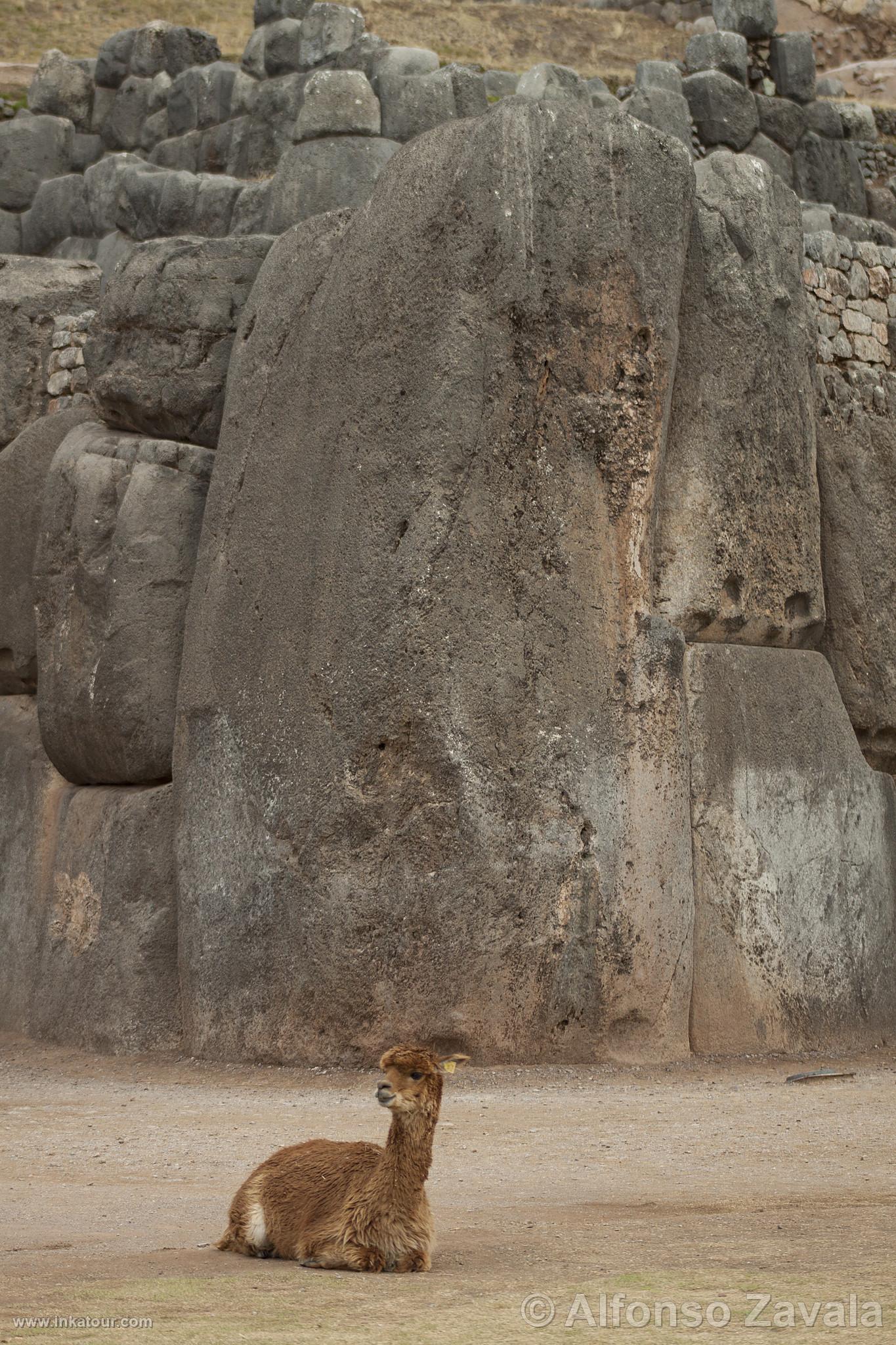 Sacsayhuaman