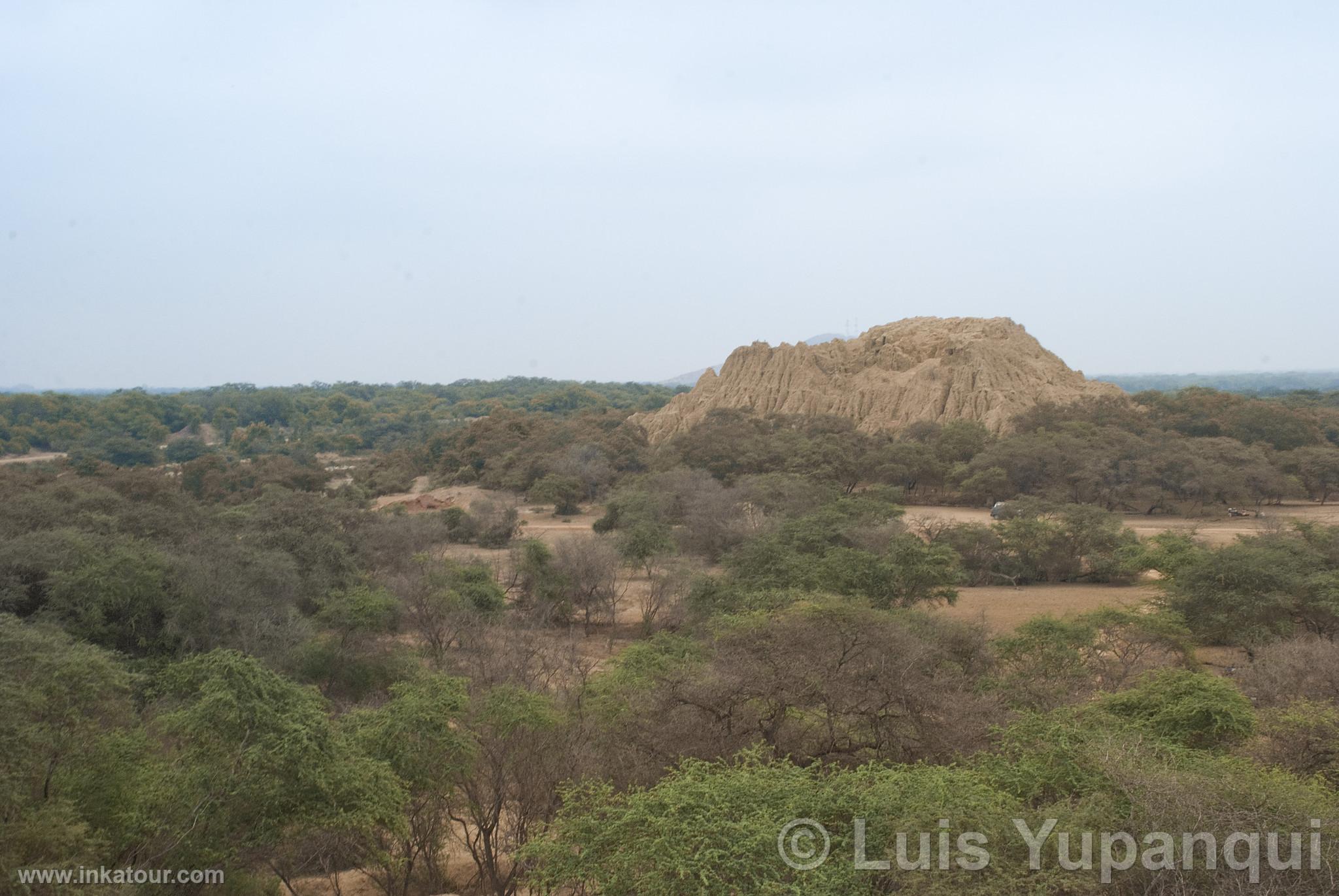 Photo of Peru