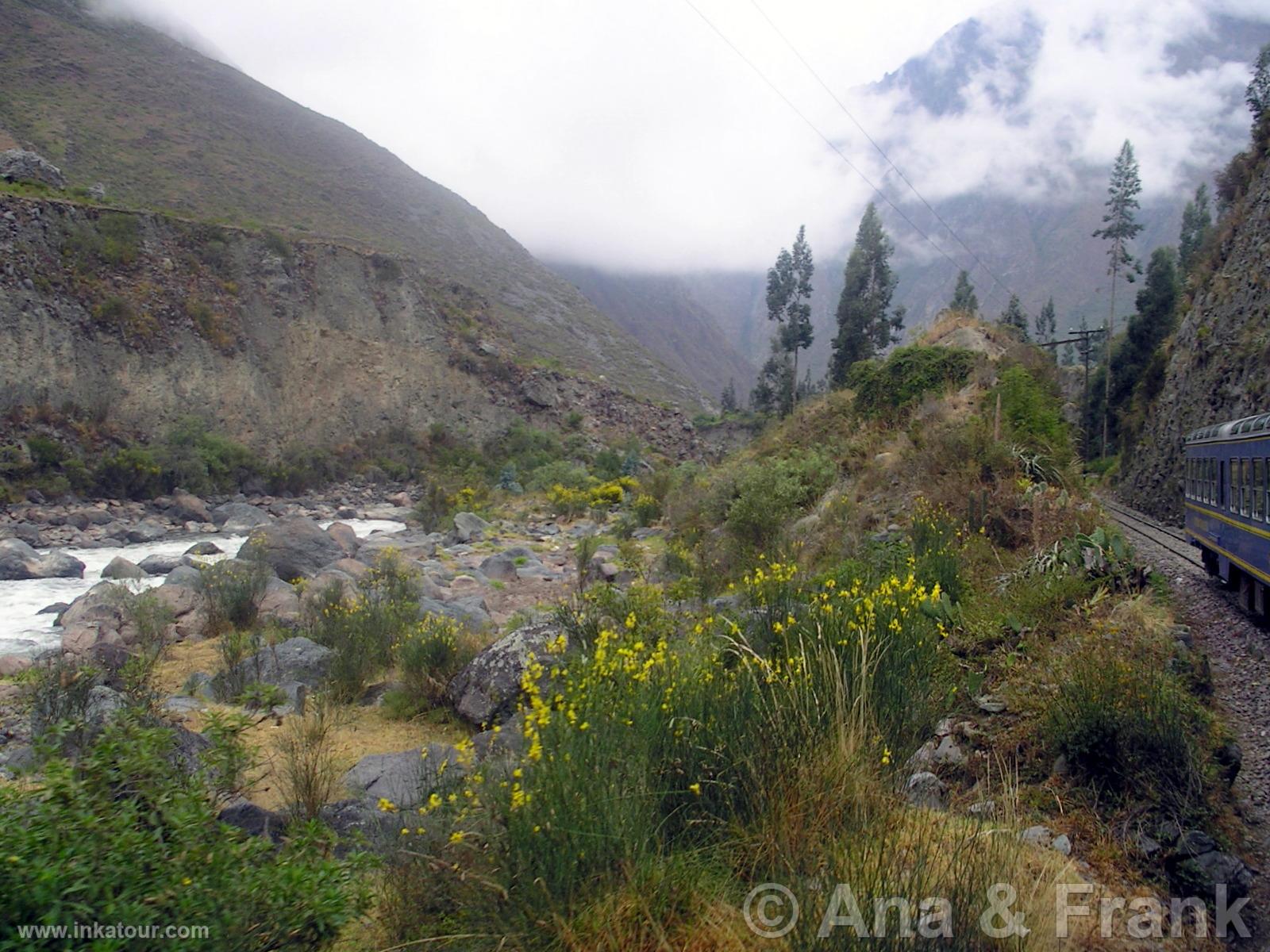 Urubamba River