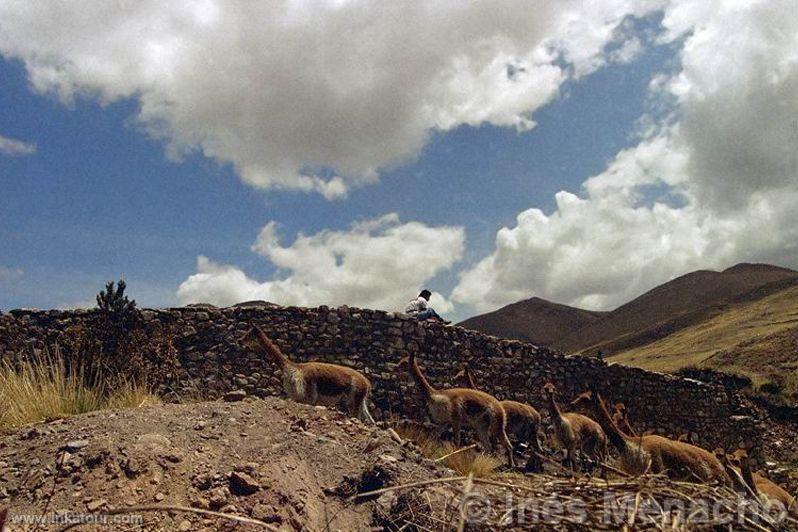 Photo of Peru