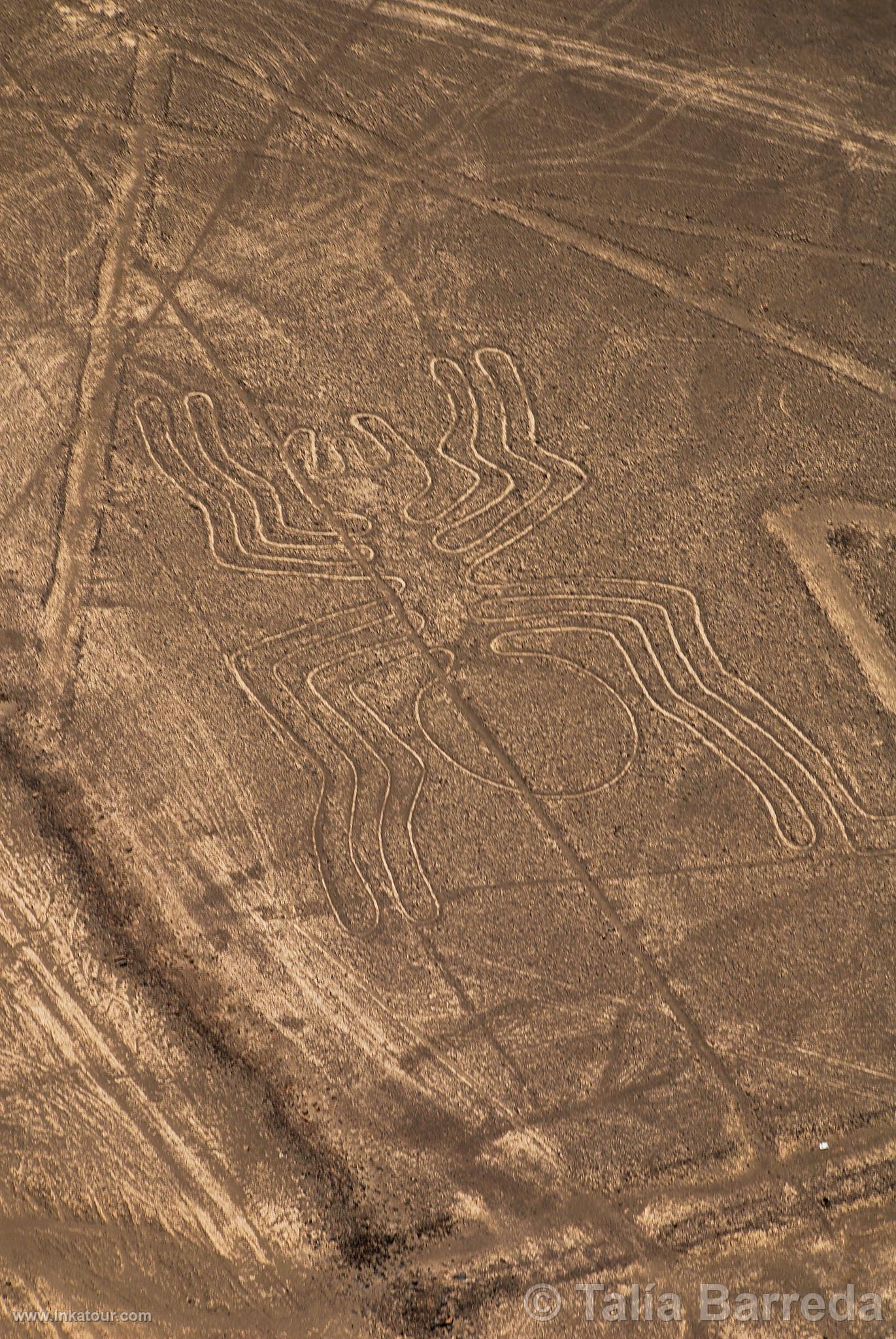 Nazca lines